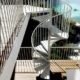 side view of galvanised spiral staircase outside infront of the ocean