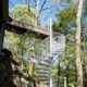 woodland setting with a large steel spiral stair rising upto to a walkway