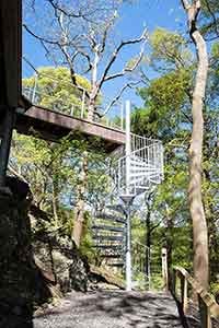 woodland setting with a large steel spiral stair rising upto to a walkway