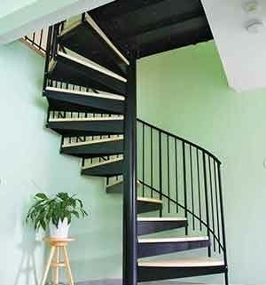 steel spiral stair with wooden steps with a light green wall to the rear and a plant