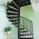 steel spiral stair with wooden steps with a light green wall to the rear and a plant