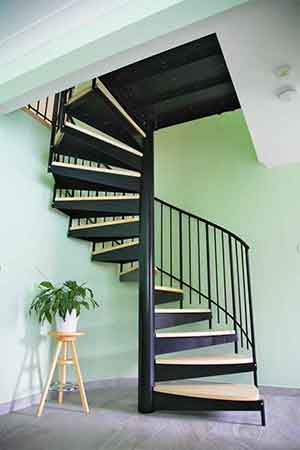 steel spiral stair with wooden steps with a light green wall to the rear and a plant