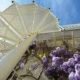 view looking up at the steps of an outdoor spiral stair in white. Blue sky behind